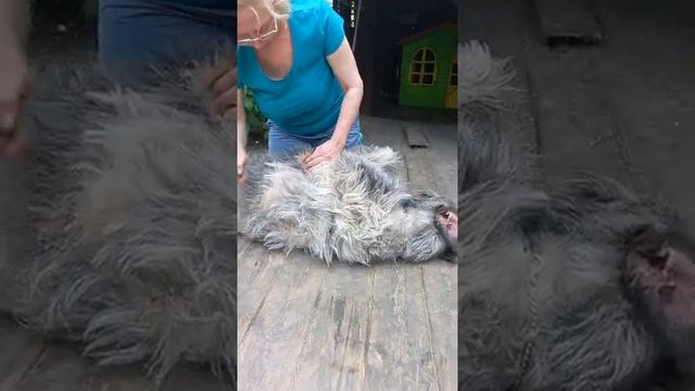 груминг часть 2 смотреть онлайн