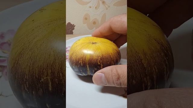 Томат солнечное затмение. смотреть онлайн