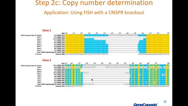 Genome Editing: How Do I Use CRISPR? смотреть онлайн