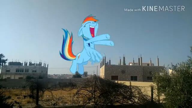 Rainbow Dash! /green Screen In Areal Life
