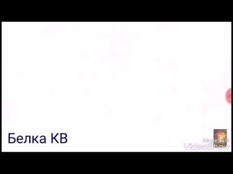 Коты воители " ЕСНО" смотреть онлайн