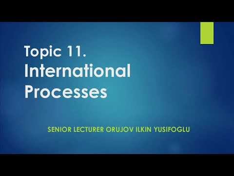 Topic 11 INTERNATIONAL PROCESSES