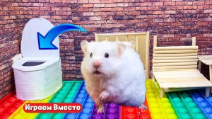 СУПЕР ХОМЯК ВЫБИРАЕТСЯ ИЗ ТЮРЬМЫ ДЛЯ ЖИВОТНЫХ ГЕНИЕВ 🐹 Помогаем выбраться из лабиринта !