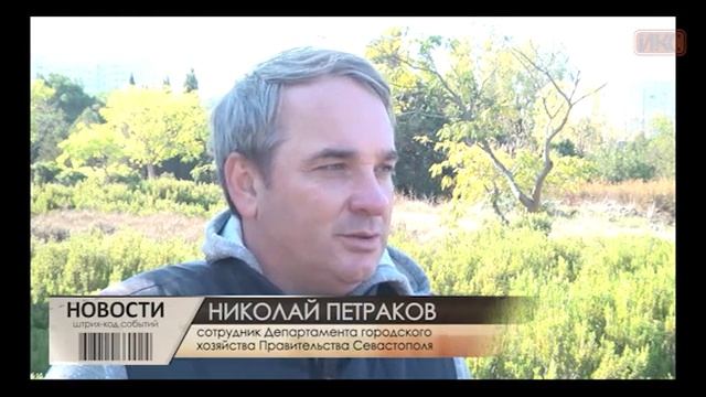 В Севастополе прошел общегородской субботник смотреть онлайн