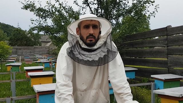 Акция на пчеломатки !!!!! смотреть онлайн
