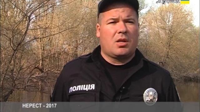 ОПЕРАЦІЯ "НЕРЕСТ - 2017" смотреть онлайн