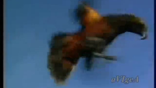 Sting - Every breath you take смотреть онлайн