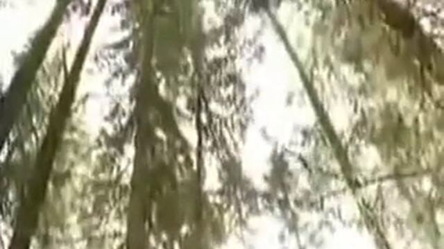 Советы доктора Неумывакина для сердца смотреть онлайн