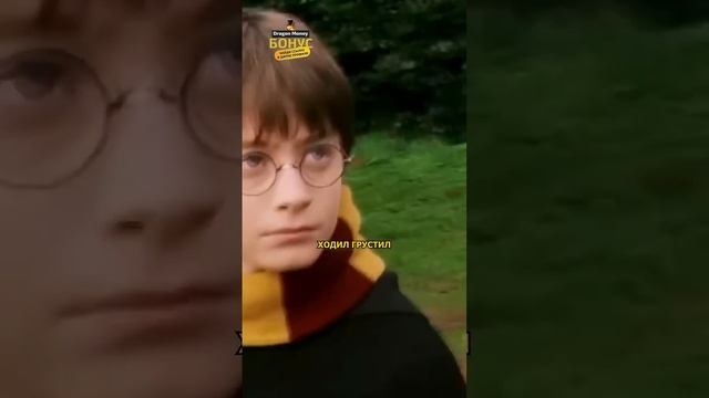 История про Шарика...