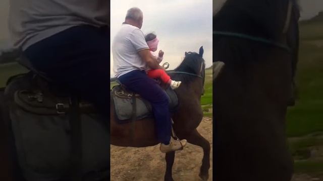  смотреть онлайн