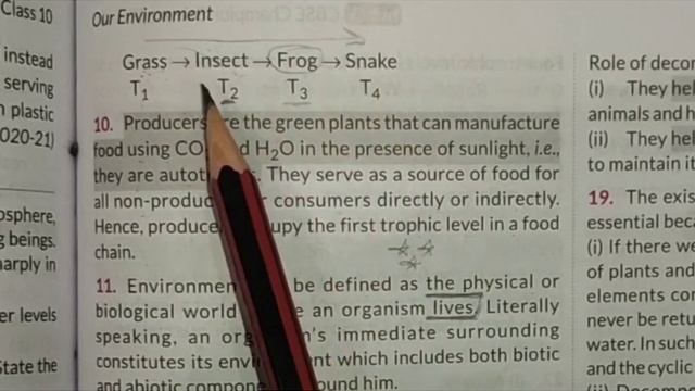 Most Repeated Questions from different Sample books||Environment chapter||Sample papers смотреть онлайн