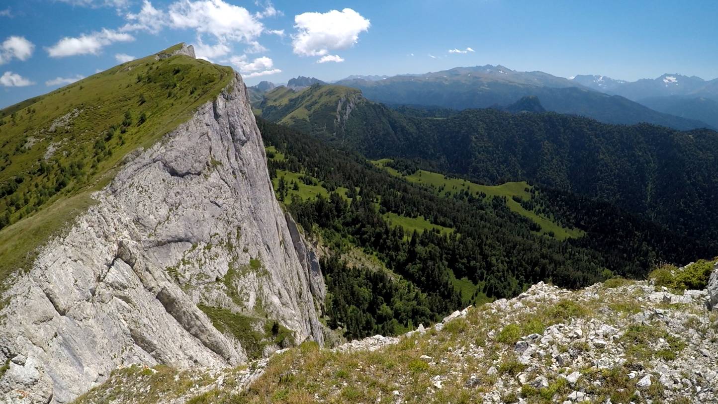 Тхачь 2024 смотреть онлайн