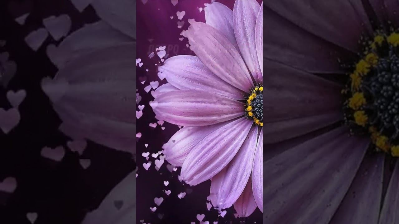 Добро дарите! Невероятное стихотворение смотреть онлайн