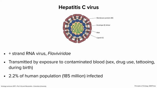 Virology Lectures 2017 #17: Persistent Infections смотреть онлайн