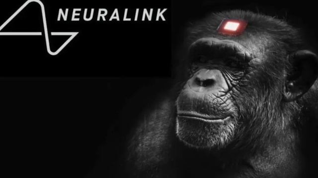 Эволюция и обратно смотреть онлайн