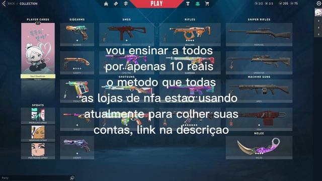(METODO) MELHORES CONTAS NFA DE VALORANT!!! смотреть онлайн