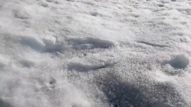 Как можно очень просто ускорить таяние снега смотреть онлайн