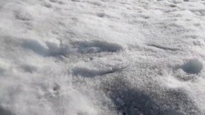 Как можно очень просто ускорить таяние снега