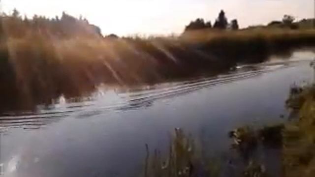 Viper Sovran R/C Boat смотреть онлайн