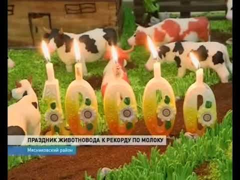 Новости-на-Дону в 13.00 от 20 декабря 2018 смотреть онлайн