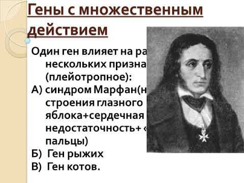 Разновидности наследования признаков при моно и дигибридном скрещивании смотреть онлайн