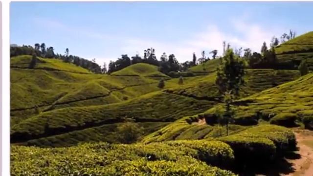 Компания In-India годовая презентация. смотреть онлайн