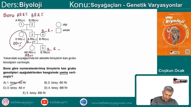 TYT Biyoloji Ders #23 Soyağaçları - Genetik Varyasyonlar - Coşkun Ocak смотреть онлайн