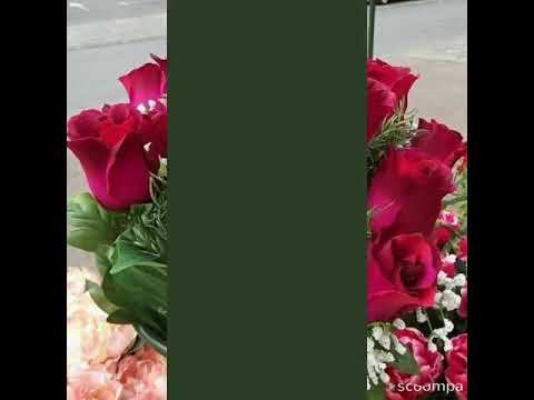 Татьяна с 8 марта тебя! смотреть онлайн