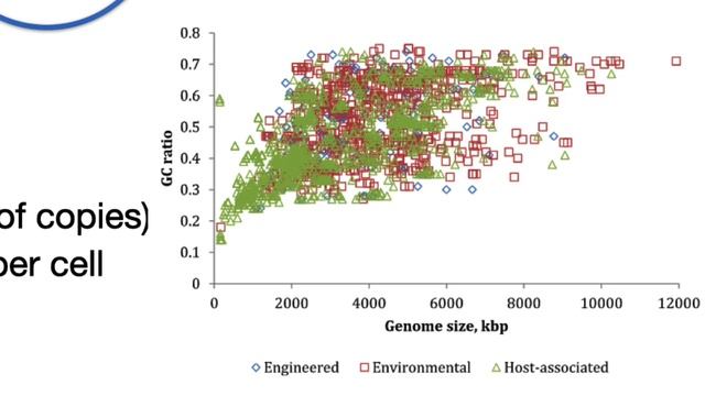 Genomics and Genetics - What is a genome смотреть онлайн