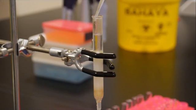 Anion Exchange Chromatography - separating haemoglobin and catalase смотреть онлайн