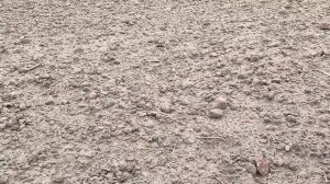 Неудачный выезд, ожидал большего/поиск монет с металлоискателем. #8