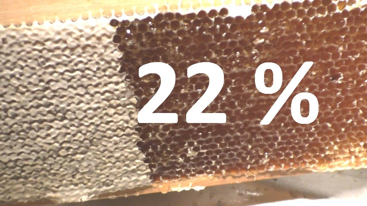 Мед в запечатанных сотах имеет высокую влажность смотреть онлайн