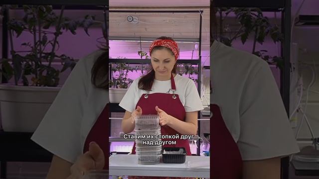 Микро зелень без заморочек 🌱 смотреть онлайн