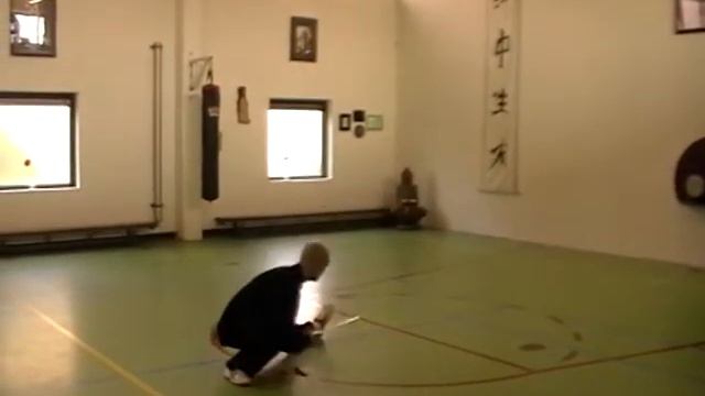 Tai Chi Zwaardvorm Marcel Smit Sensei смотреть онлайн