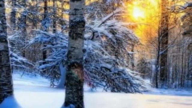 Тайга...исп. Елена Ваенга смотреть онлайн