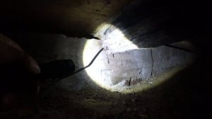 Что скрывал подвал. Изучаем новый дом. Прикидываем фронт работ.