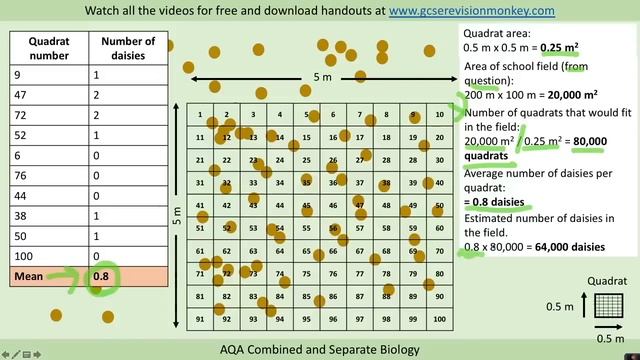 2022 Exam - Combined Biology (Higher) Paper 2 Required Practicals смотреть онлайн
