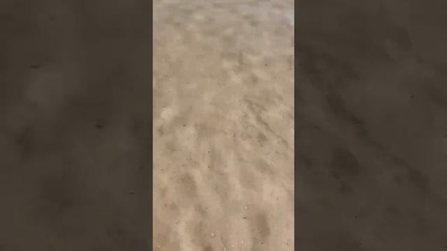 Западное озеро. Вичуга смотреть онлайн