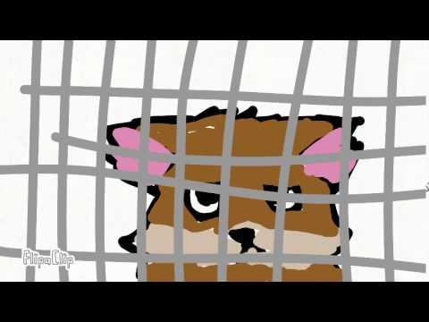 История рысей смотреть онлайн