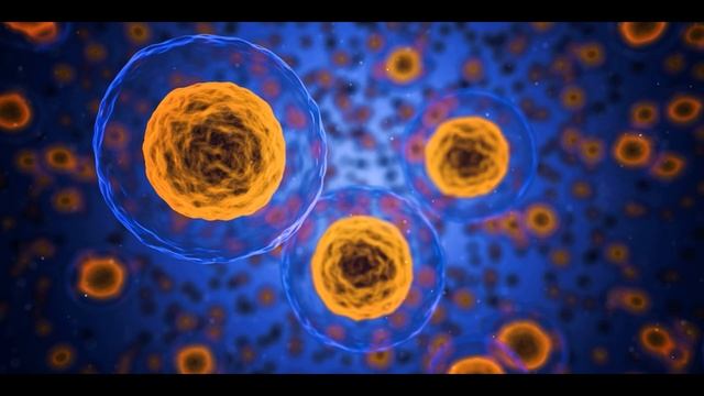 Остеоартрит, микробиота, кишечник смотреть онлайн