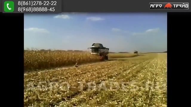 Торум с кукурузной жаткой CAPELLO против CLAAS c кукурузной жаткой ZIEGLER смотреть онлайн