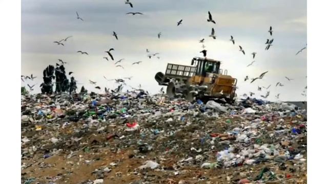 Экология Казахстана. Тлеубай Аяжан смотреть онлайн