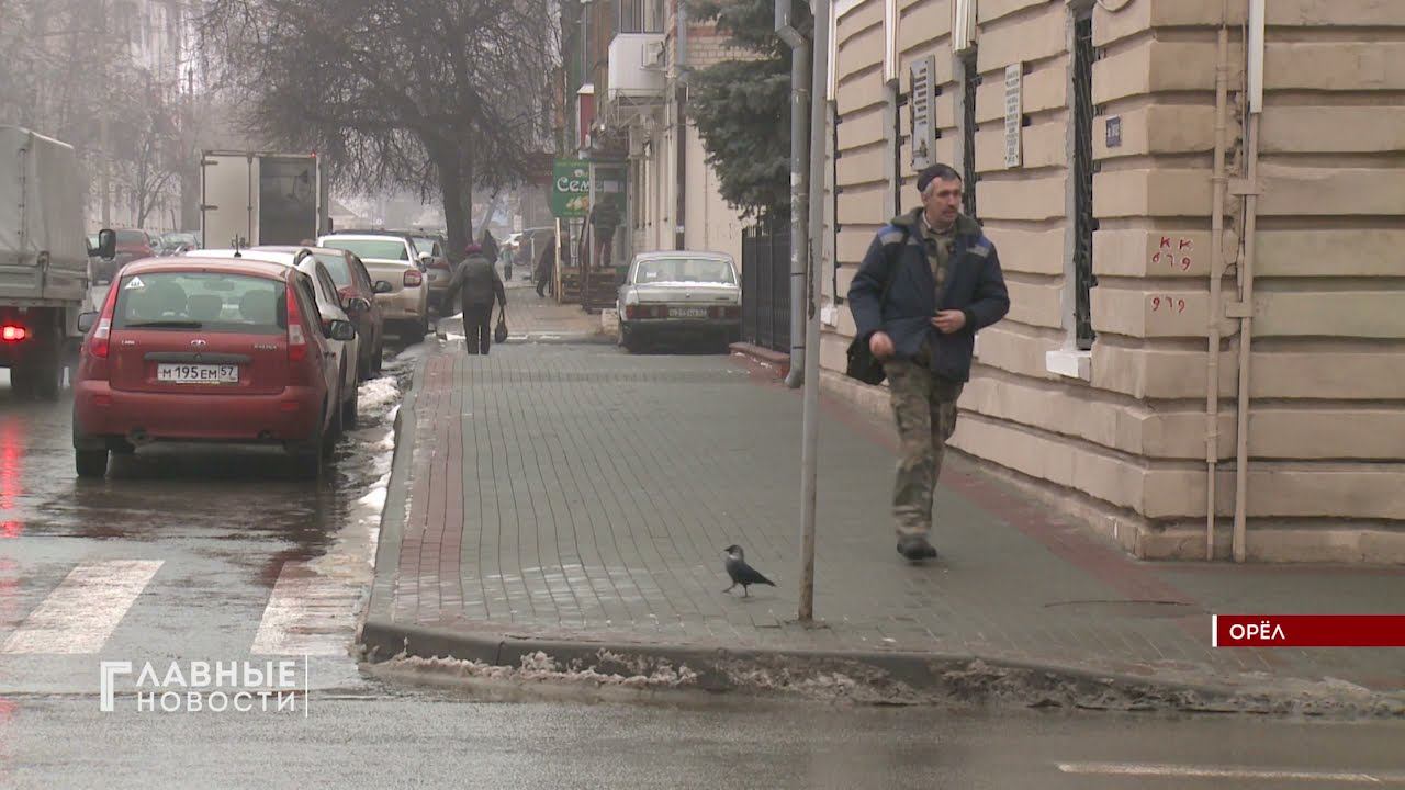 Орловчан, заключивших соцконтракт, планируют сопровождать на региональном уровне смотреть онлайн