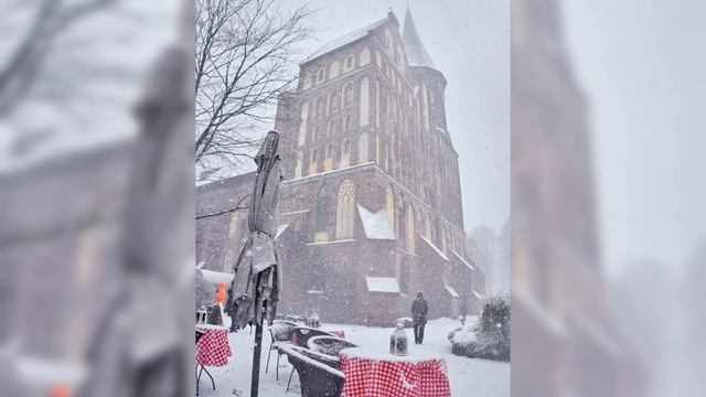 Снежный конец ноября 2024 в Рыбной деревне Калининграда смотреть онлайн