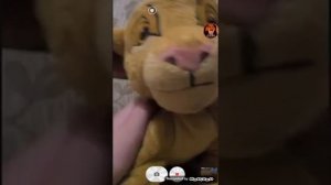 мои мегкие игрушки король лев