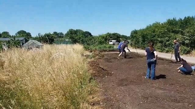 BEST Corporate Volunteering Day (Sony & Baker Mckenzie) смотреть онлайн