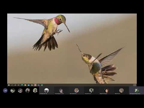 Chương 3tt Chất điều hòa sinh trưởng смотреть онлайн