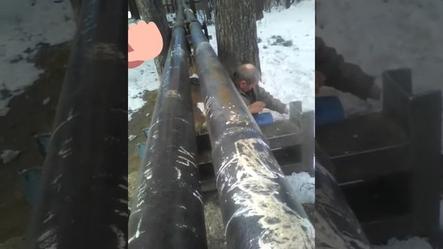 Бомжи в силе смотреть онлайн