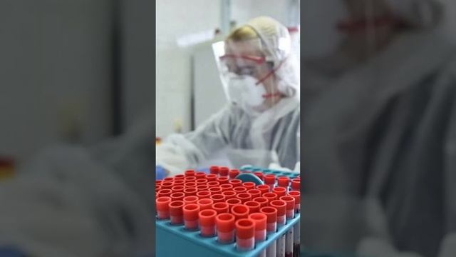 Бухгалтер из Гомеля фальсифицировала справки о донорстве крови, получая за это деньги смотреть онлайн