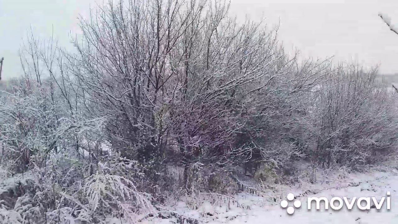 Зимняя красота. смотреть онлайн